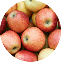 Jablečná vláknina